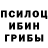 Псилоцибиновые грибы Psilocybine cubensis Ni Dinda