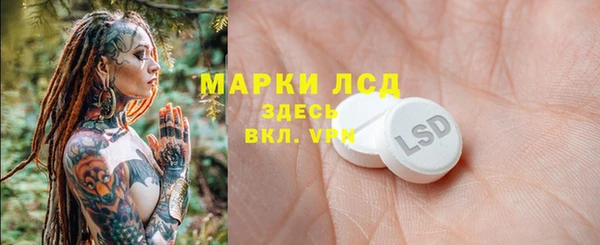 PSILOCYBIN Лихославль