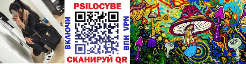 Псилоцибиновые грибы мицелий  Купить закладки  Болотное 